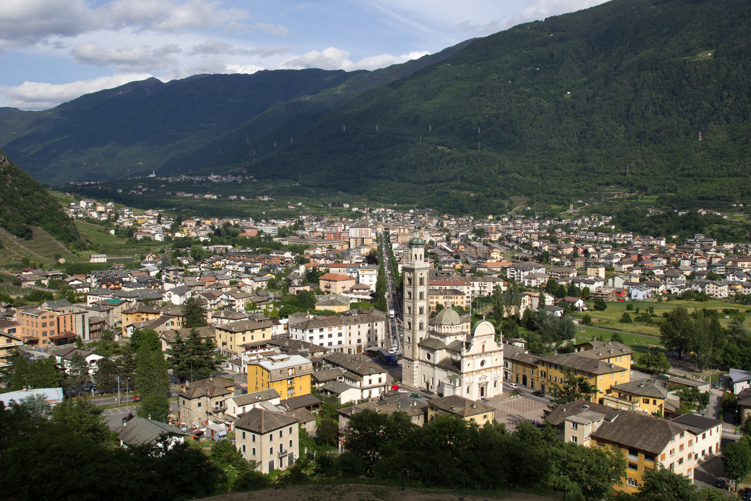 tirano (2).webp